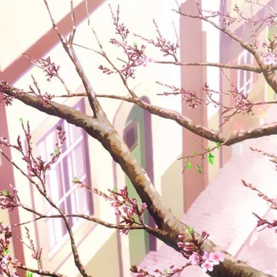 起司：背景图