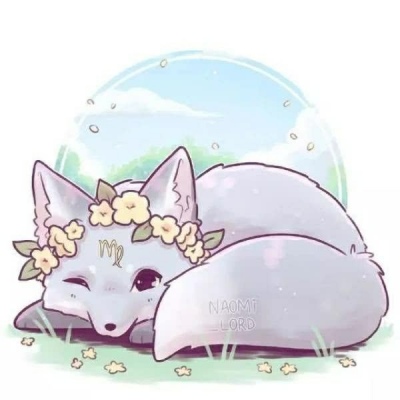 十二星座狐