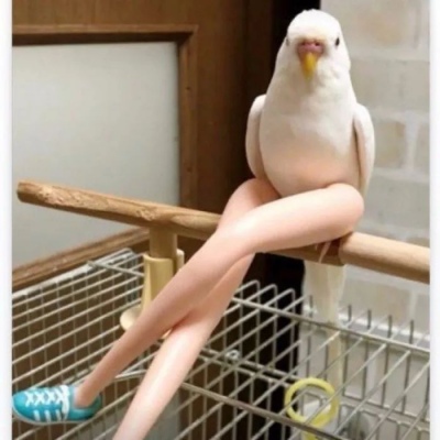 搞笑头像  够沙雕了吧（希望你今天也能笑）