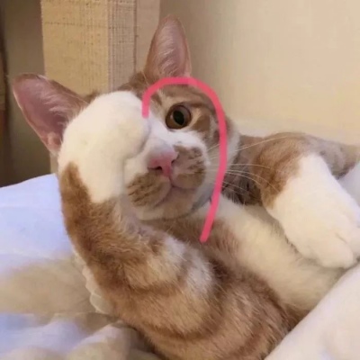 可爱的猫，喜欢猫求收藏和赞