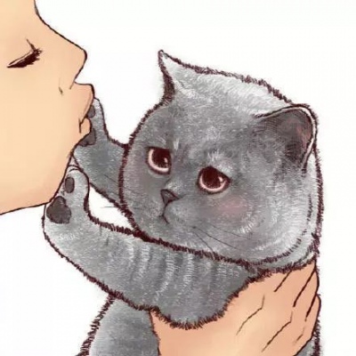 林弦:卡通可爱猫咪头像