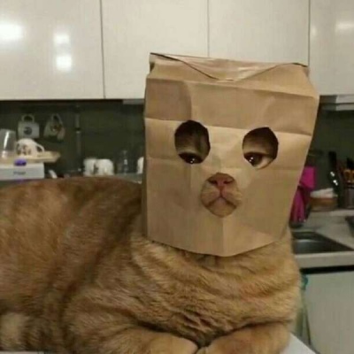 沙雕 微信头像