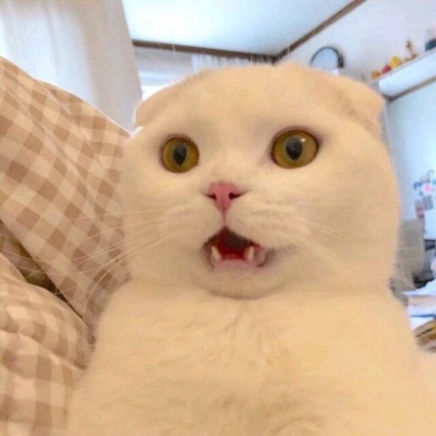 沙雕 微信头像