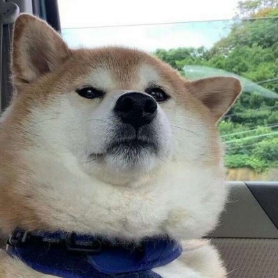 沙雕 微信头像