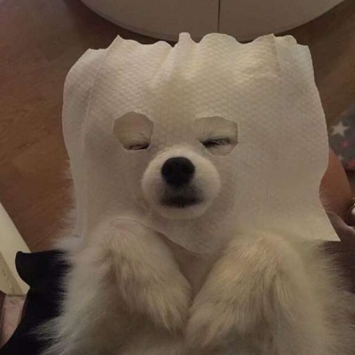 沙雕 微信头像