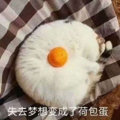 沙雕 微信头像