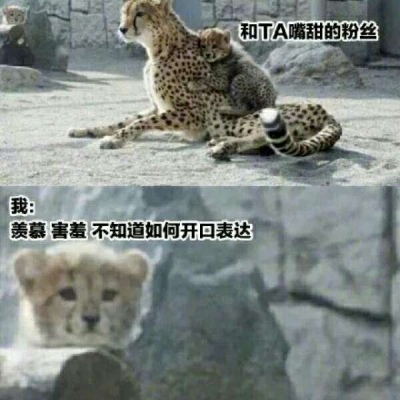 玩网大佬沙雕表情包必备