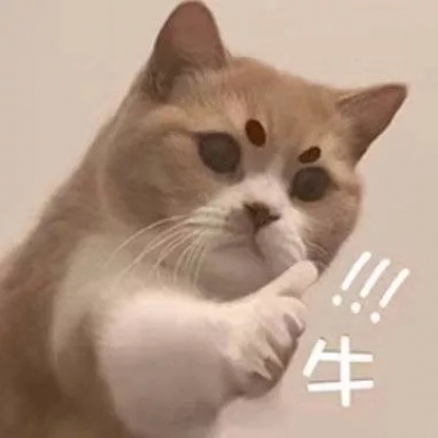 林一笑/猫猫表情包?