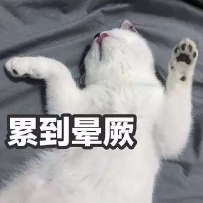 林一笑/猫猫表情包?