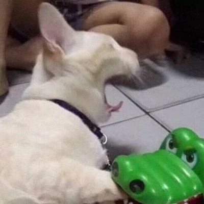 沙雕头像