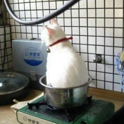 沙雕头像