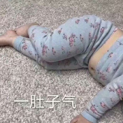 苏瓷:搞笑表情包（可爱 搞笑 表情包 动物真人）
