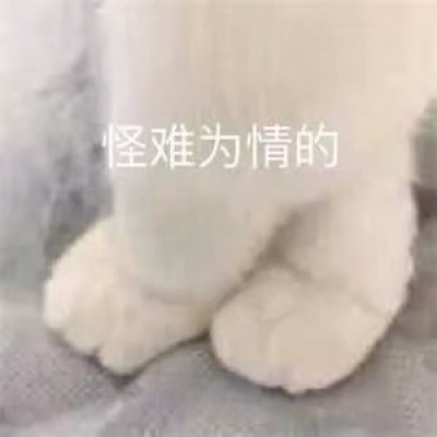 苏瓷:搞笑表情包（可爱 搞笑 表情包 动物真人）