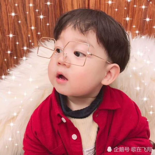 可爱的Q宝