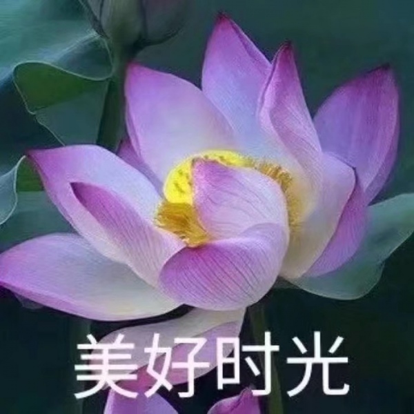 微信头像.