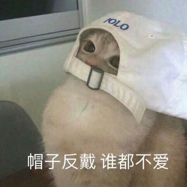 千瑶?沙雕表情包
