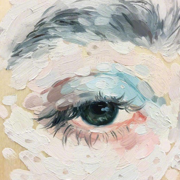 今日画作分享  眼睛  画师?Shanna Van Maurik