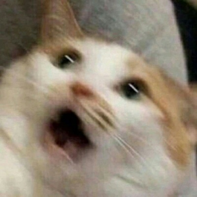 /萌宠/可爱头像.