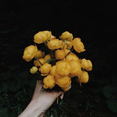 白灏宇:微信头像/女生/部位/手控/花