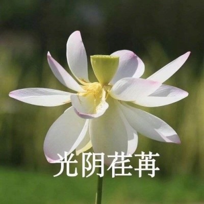 该做一个成熟的大孩子了！