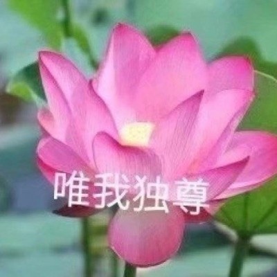 该做一个成熟的大孩子了！