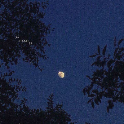 江喻绾    你坠落星河 却不知人间苍苍再难遇我。?