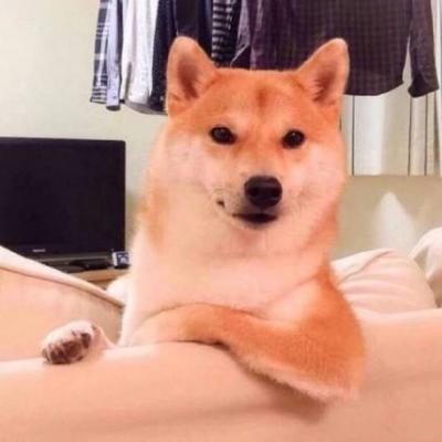 狗子恶搞图