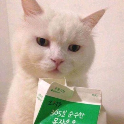 可爱萌宠头像     哥嫂本无缘，全靠我借钱