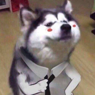 宠物沙雕头像