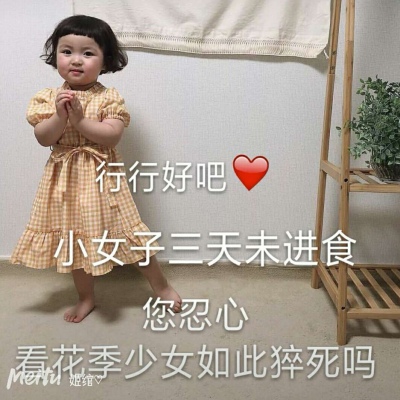 陆淮川 萌娃表情包 可爱 罗熙