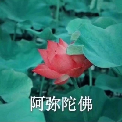 莲花系列 表情头像