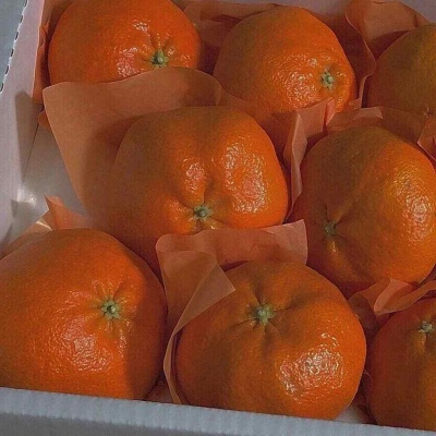 林凌:生活难熬 抱抱我就好/背景图