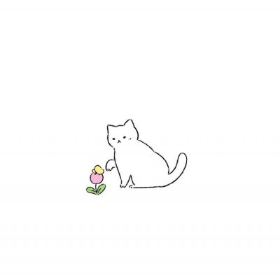 小猫咪/念七