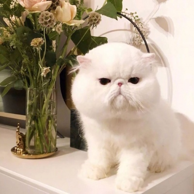 心情不好，来一波放血