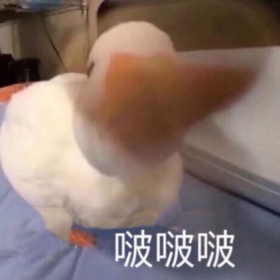 心情不好，来一波放血