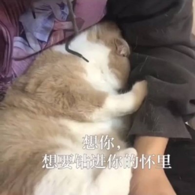 允言：超级可爱的萌娃头像/这都几点了 怎么还不来看我