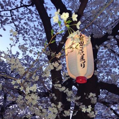 2019微信幸运头像     一寸柚绿时光
