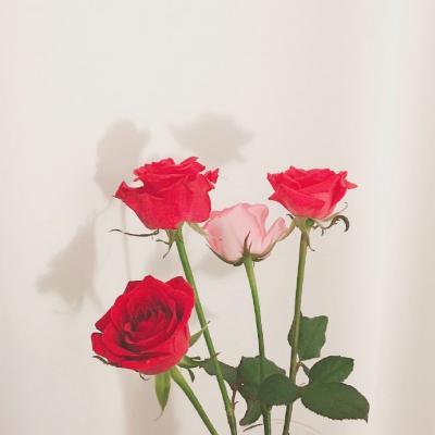 2019吉祥微信头像 好运         回忆像大海