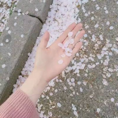 筱崽  手控福利/在意你手心的温度