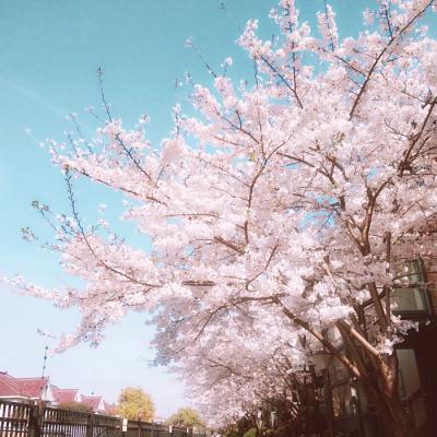 最新高清的微信头像风景        把美好留在明天