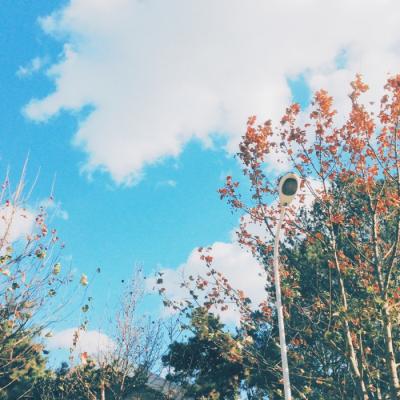 最新高清的微信头像风景        把美好留在明天