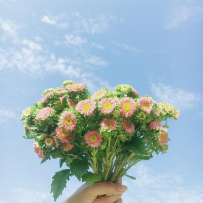 40岁左右女人微信头像     寄我阳光i