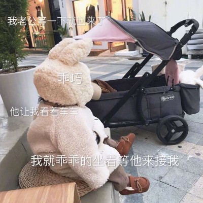 悲辞：萌娃头像