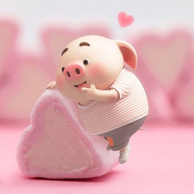 预祝大家：2oI9 一切如愿安好如福猪