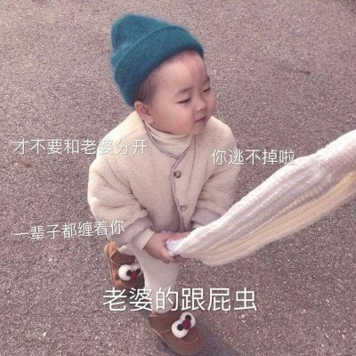 木兮:可爱头像/表情包来啦