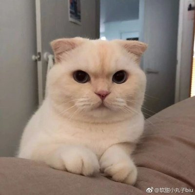 可爱情侣头像#搞怪