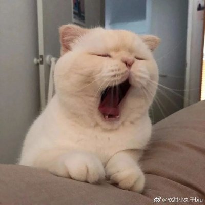 可爱情侣头像#搞怪