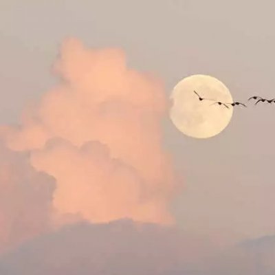 【套图】   满心向你.
