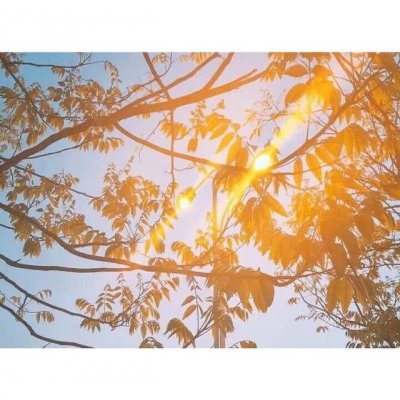 【套图】   满心向你.