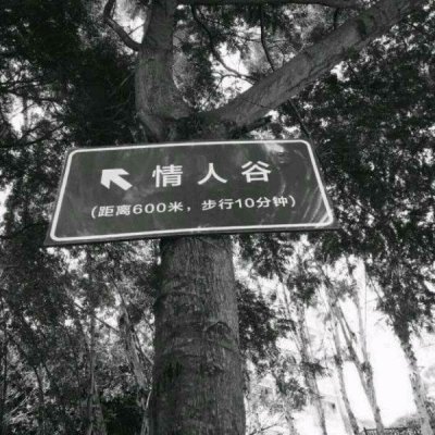 文字图片
